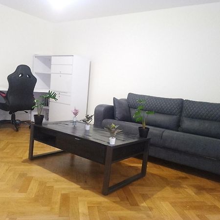 Charming Flat Center And Near The Lake Ginebra Exterior foto