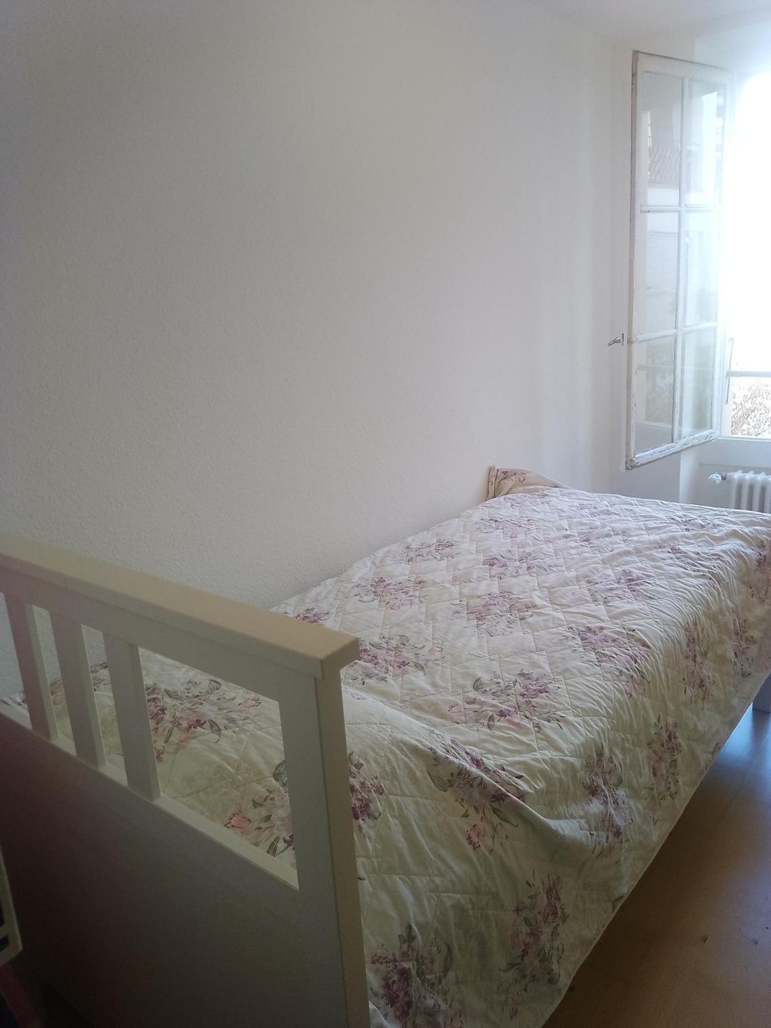 Charming Flat Center And Near The Lake Ginebra Exterior foto