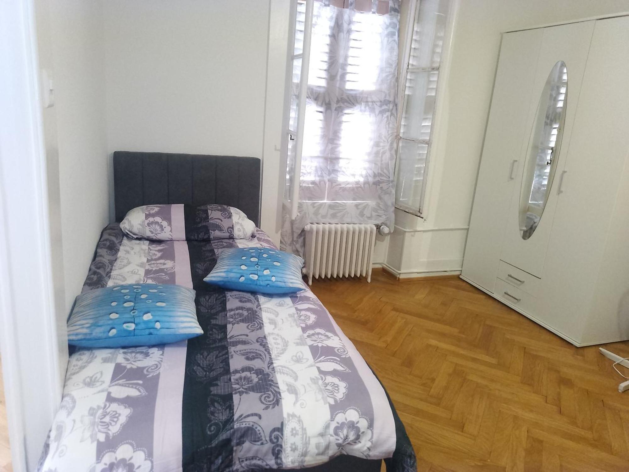 Charming Flat Center And Near The Lake Ginebra Exterior foto