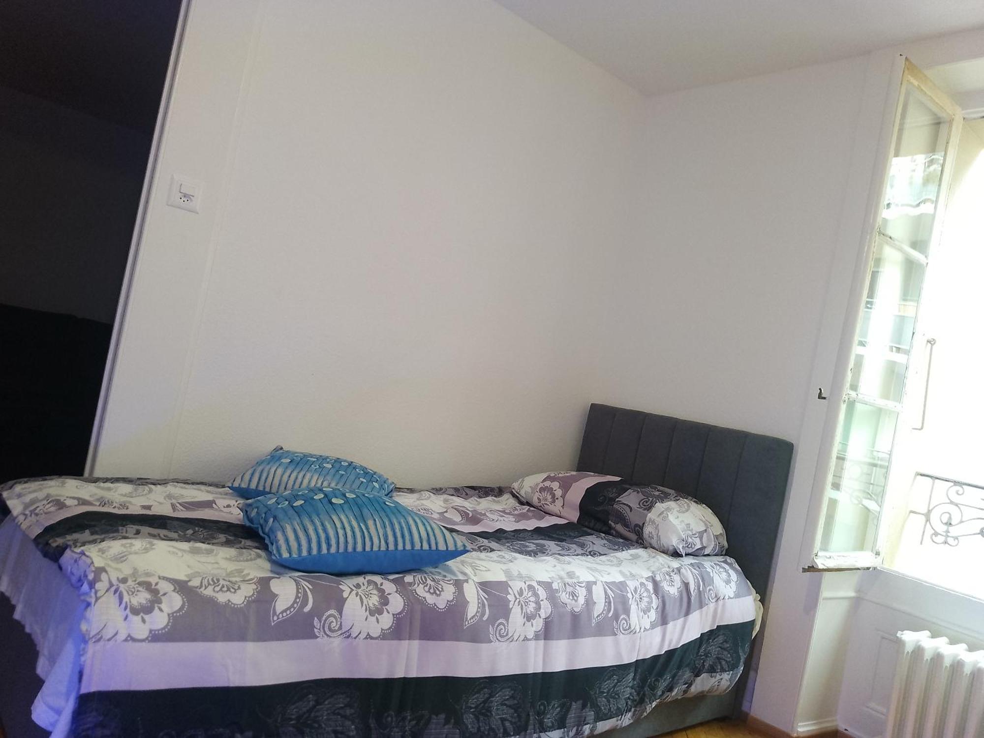 Charming Flat Center And Near The Lake Ginebra Exterior foto