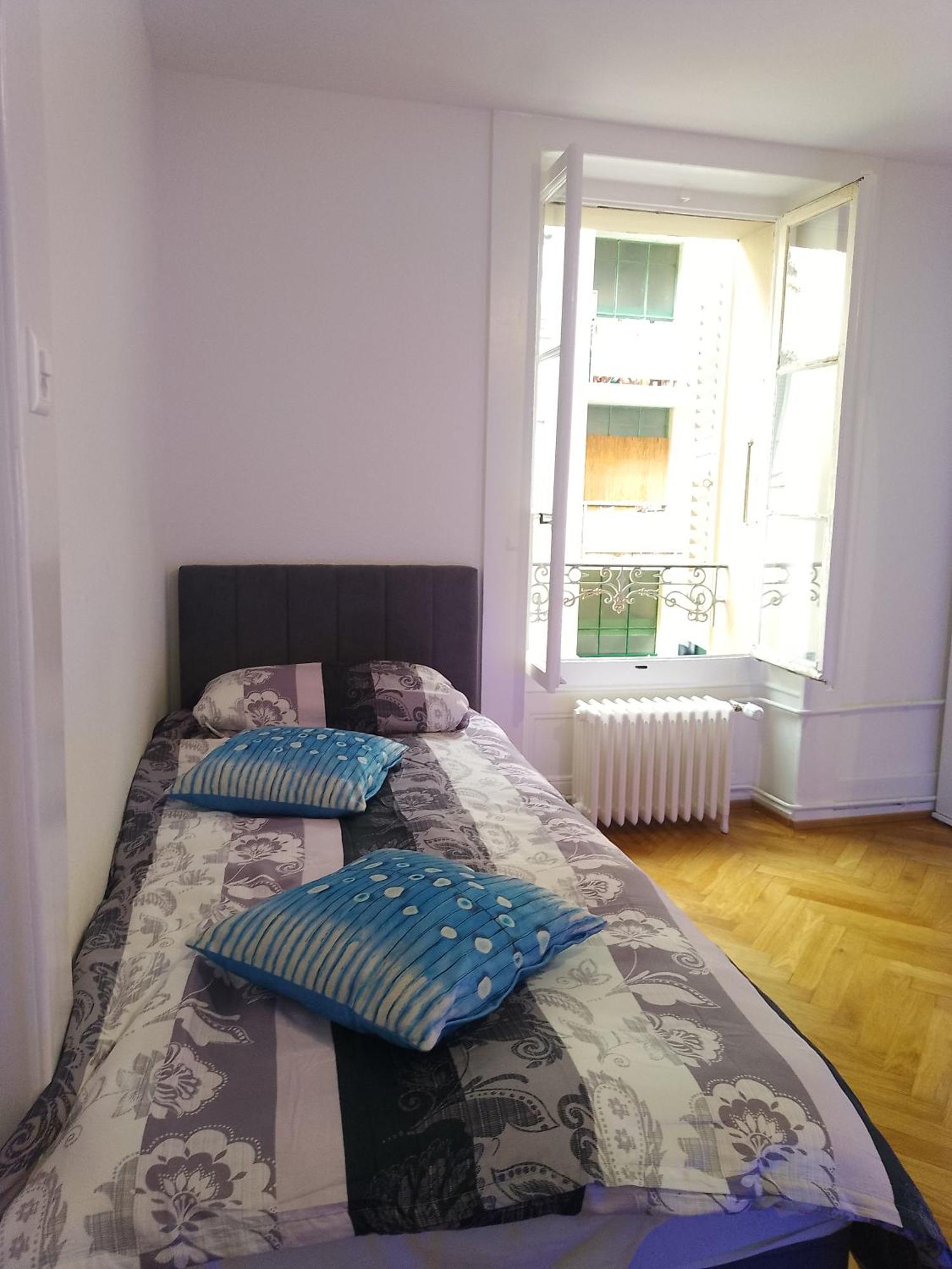 Charming Flat Center And Near The Lake Ginebra Exterior foto